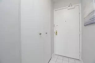 33 E Cedar St, Chicago, IL 60611 - Photo 19