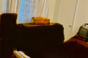 11107 S 84th Ave, Palos Hills, IL 60465 - Photo 17