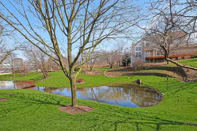 145 Farmgate Drive #145, Schaumburg, IL 60193 - Photo 41