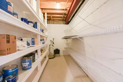 776 N Franklin Avenue, Palatine, IL 60067 - Photo 33