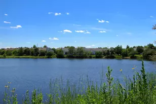 2382 Carillon Dr, Grayslake, IL 60030 - Photo 19