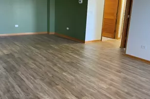 20862 W Torrey Pines Ln, Plainfield, IL 60544 - Photo 9