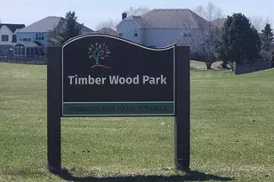 12704 Wild Rye Ct, Plainfield, IL 60585 - Photo 43