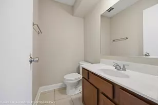 2919 W 101st Pl, Evergreen Park, IL 60805 - Photo 15