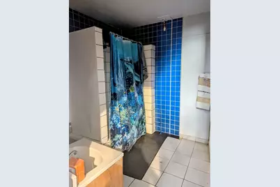 4805 S Elizabeth Street, Chicago, IL 60609 - Photo 5