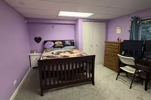 944 Cynthia Ln, Lake in the Hills, IL 60156 - Photo 17