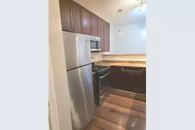 736 S Kedzie Avenue #1, Chicago, IL 60612 - Photo 3