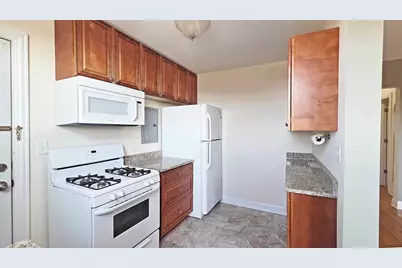 2333 W Farwell Avenue #3S, Chicago, IL 60645 - Photo 9