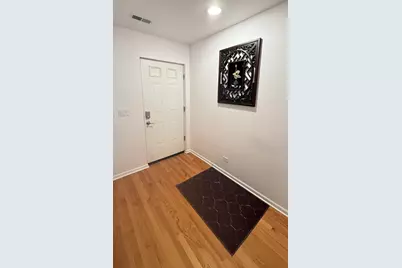 338 E 25th Place, Chicago, IL 60616 - Photo 3