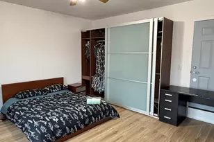 338 E 25th Pl, Chicago, IL 60616 - Photo 31