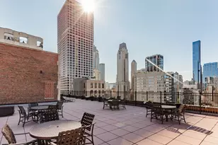 1100 N Dearborn St, Chicago, IL 60610 - Photo 9