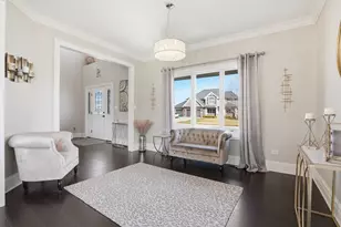 13931 W Wilderness Lakes Dr, Manhattan, IL 60442 - Photo 3