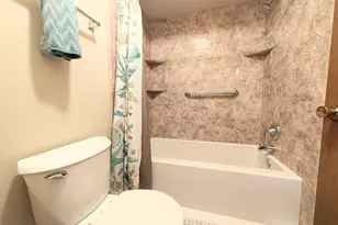 16160 Apple Ln, Tinley Park, IL 60487 - Photo 13