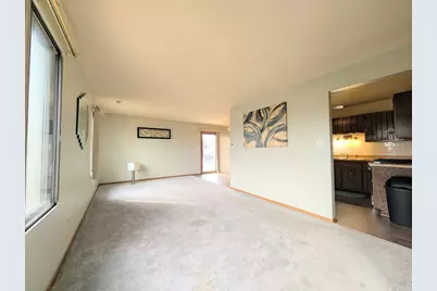 16160 Apple Lane #3, Tinley Park, IL 60487 - Photo 3