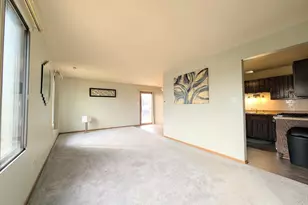 16160 Apple Ln, Tinley Park, IL 60487 - Photo 3