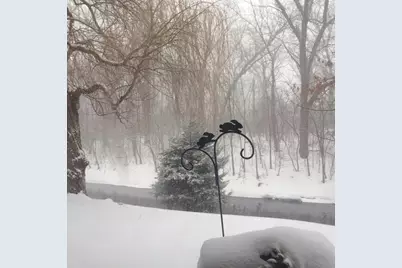 1S055 Spring Road #1C, Oakbrook Terrace, IL 60181 - Photo 21