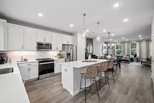 232 Warren Ln, Schaumburg, IL 60193 - Photo 3