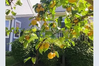 5170 Scott Circle, Lisle, IL 60532 - Photo 35