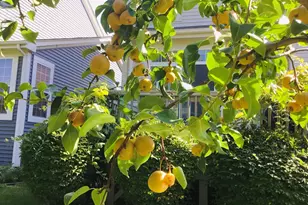 5170 Scott Cir, Lisle, IL 60532 - Photo 35