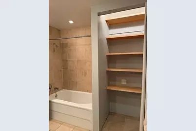 320 E 21st Street #411, Chicago, IL 60616 - Photo 29