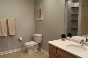 320 E 21st St, Chicago, IL 60616 - Photo 27