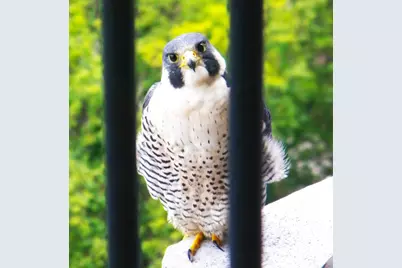 [Address not provided], Chicago, IL 60601 - Photo 25