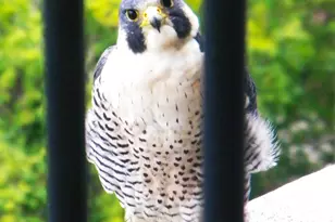 [Address not provided], Chicago, IL 60601 - Photo 25