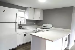 3013 S Haynes Ct, Chicago, IL 60608 - Photo 3