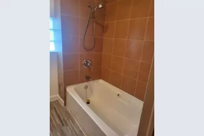 3841 S Lowe Avenue, Chicago, IL 60609 - Photo 37