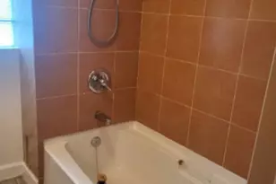 3841 S Lowe Ave, Chicago, IL 60609 - Photo 37