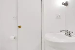 3841 S Lowe Ave, Chicago, IL 60609 - Photo 11