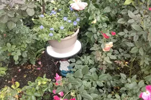 1072 Cedar Crest Dr, Crystal Lake, IL 60014 - Photo 25