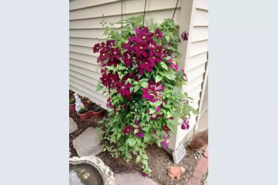 1072 Cedar Crest Drive, Crystal Lake, IL 60014 - Photo 29