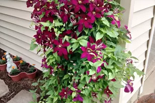 1072 Cedar Crest Dr, Crystal Lake, IL 60014 - Photo 29