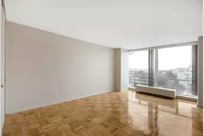 601 E 32nd Street #1001, Chicago, IL 60616 - Photo 13