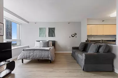 512 N McClurg Court #1102, Chicago, IL 60611 - Photo 11