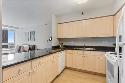 512 N McClurg Court #1102, Chicago, IL 60611 - Photo 7