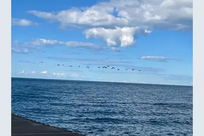 515 E Oakwood Boulevard, Chicago, IL 60653 - Photo 51