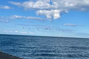 515 E Oakwood Blvd, Chicago, IL 60653 - Photo 51