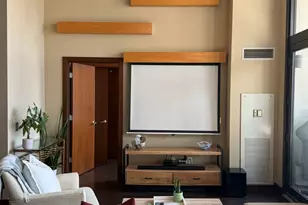 320 E 21st St, Chicago, IL 60616 - Photo 11