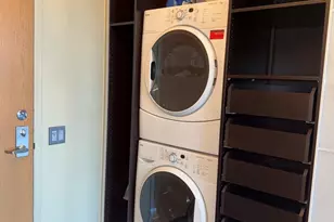 320 E 21st St, Chicago, IL 60616 - Photo 25