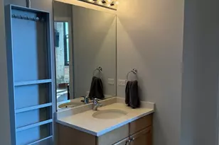 320 E 21st St, Chicago, IL 60616 - Photo 19