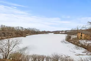 1601 E Maple Terrace, Lisle, IL 60532 - Photo 11