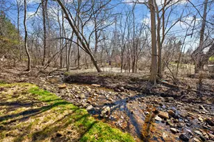 1009 Meadow Ln, Elgin, IL 60123 - Photo 53