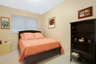 6617 S Ingleside Ave, Chicago, IL 60637 - Photo 15