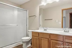 323 S Litchfield Dr, Round Lake, IL 60073 - Photo 19