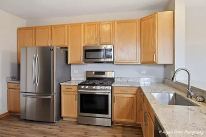 323 S Litchfield Drive, Round Lake, IL 60073 - Photo 11