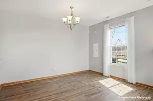 323 S Litchfield Dr, Round Lake, IL 60073 - Photo 9