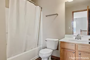 323 S Litchfield Dr, Round Lake, IL 60073 - Photo 21