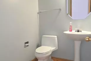 212 Willow Blvd, Willow Springs, IL 60480 - Photo 9